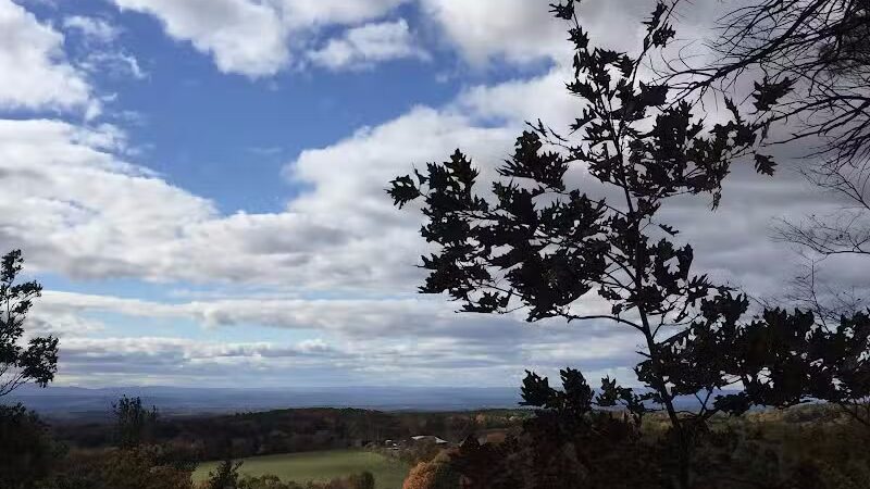 Schor - East Chatham, NY