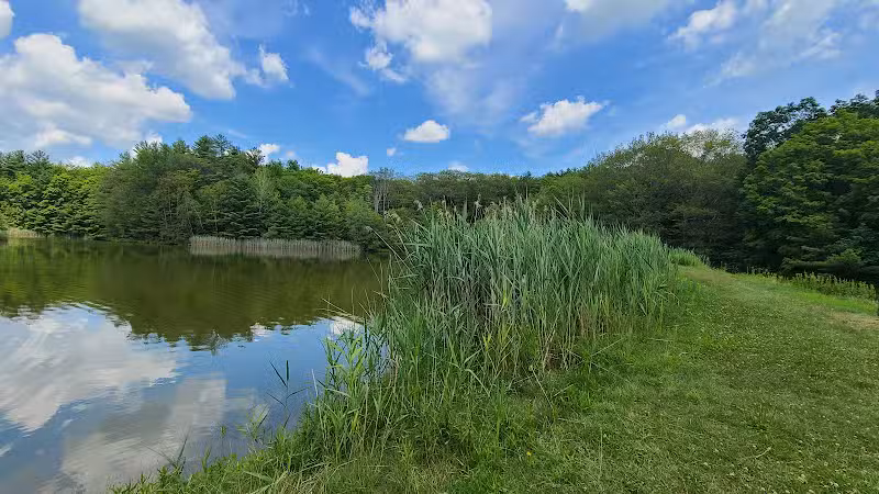 Schor - East Chatham, NY