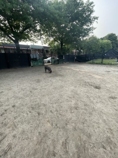 Landing Lights Dog Run - East Elmhurst, NY