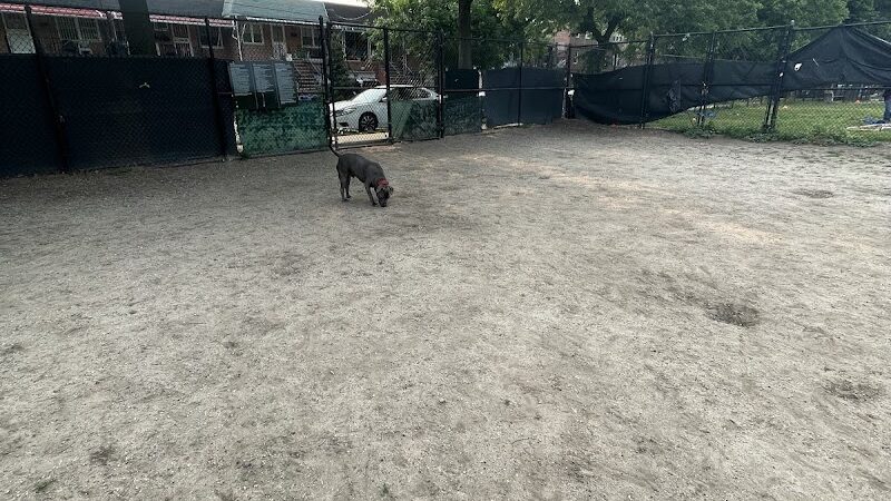 Landing Lights Dog Run - East Elmhurst, NY