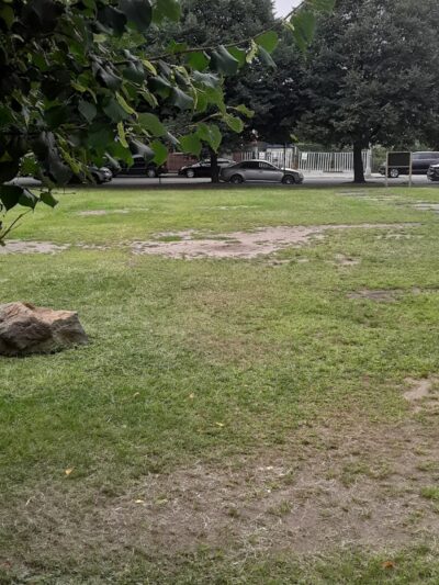 Landing Lights Dog Run - East Elmhurst, NY