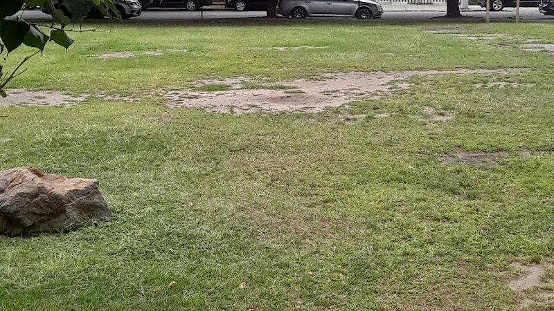 Landing Lights Dog Run - East Elmhurst, NY