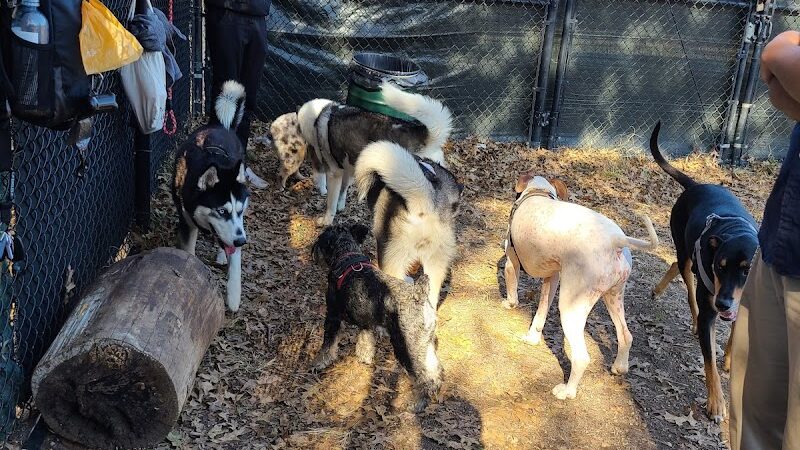Landing Lights Dog Run - East Elmhurst, NY