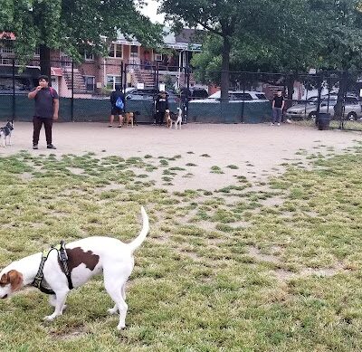Landing Lights Dog Run - East Elmhurst, NY