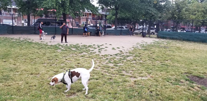 Landing Lights Dog Run - East Elmhurst, NY