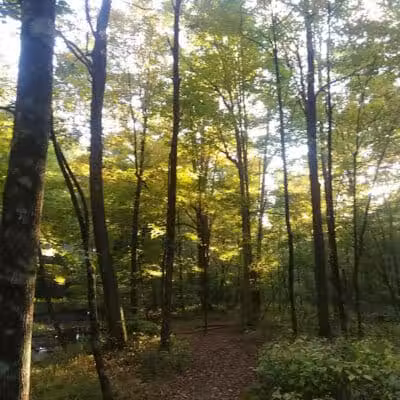 East Greenbush Town Park - East Greenbush, NY