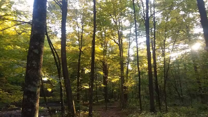 East Greenbush Town Park - East Greenbush, NY
