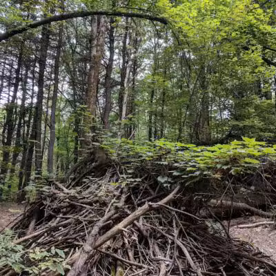 East Greenbush Town Park - East Greenbush, NY