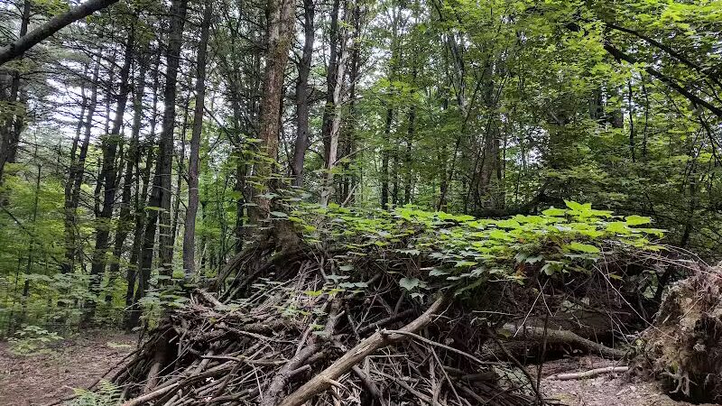 East Greenbush Town Park - East Greenbush, NY