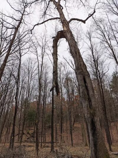 East Greenbush Town Park - East Greenbush, NY