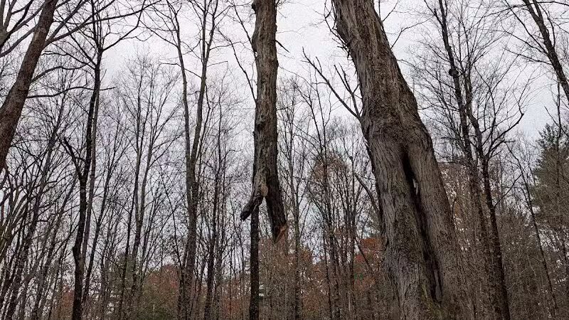 East Greenbush Town Park - East Greenbush, NY