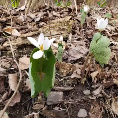 East Greenbush Town Park - East Greenbush, NY