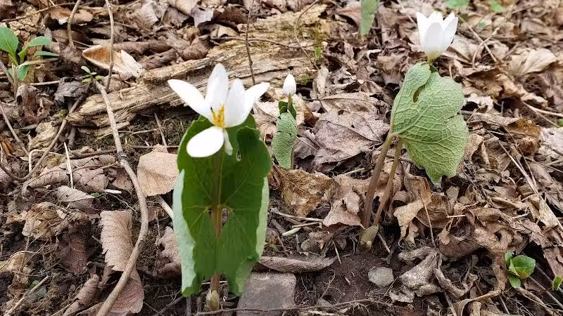 East Greenbush Town Park - East Greenbush, NY