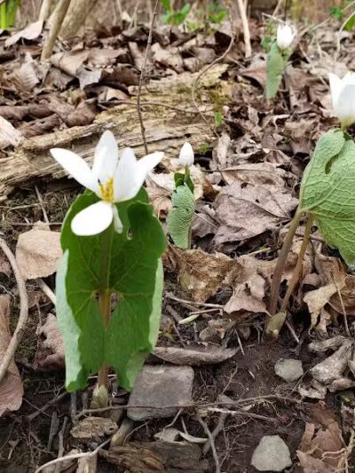 East Greenbush Town Park - East Greenbush, NY