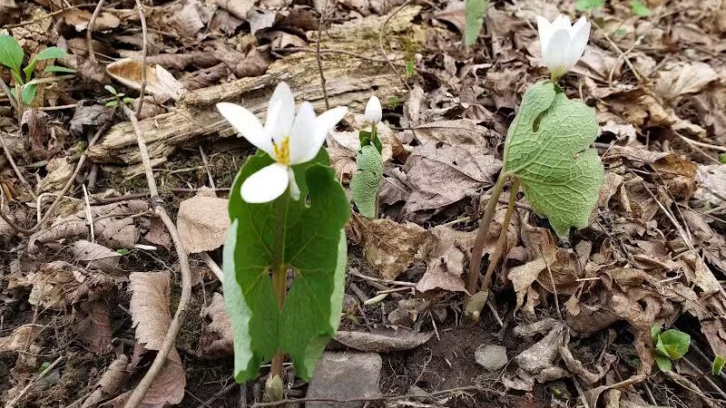 East Greenbush Town Park - East Greenbush, NY