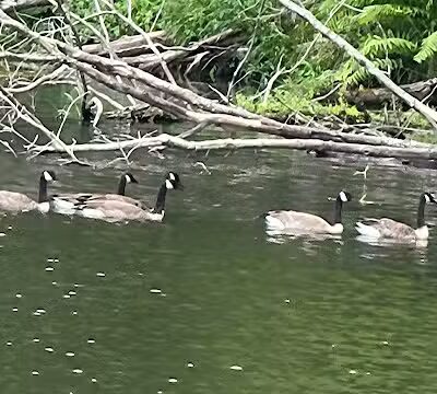 The Red Barn - East Greenbush, NY
