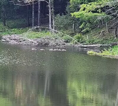 The Red Barn - East Greenbush, NY