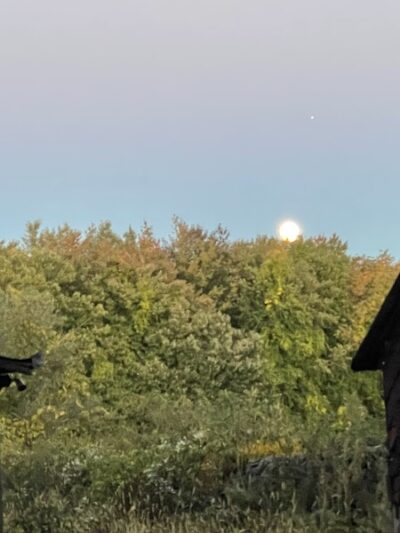 Goodwin Park - East Hartford, CT