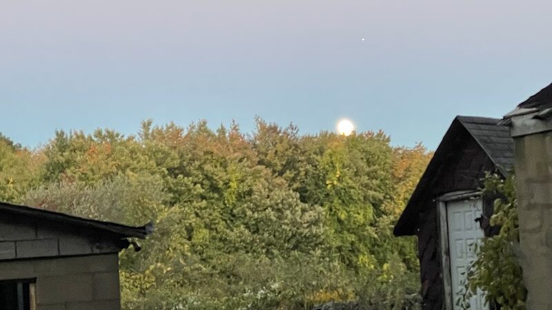 Goodwin Park - East Hartford, CT