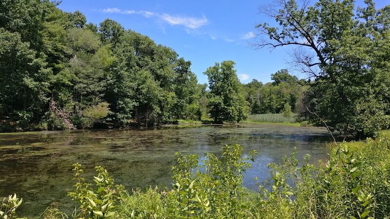 Gorman Park - East Hartford, CT