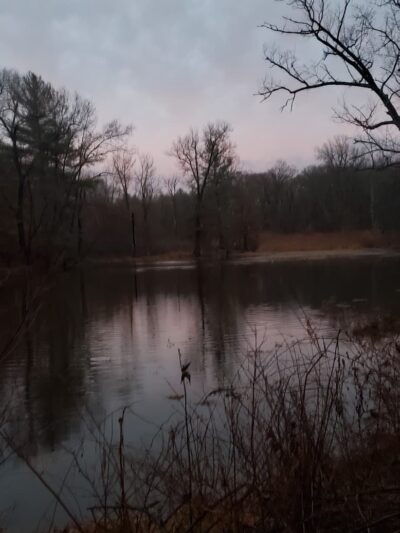 Gorman Park - East Hartford, CT