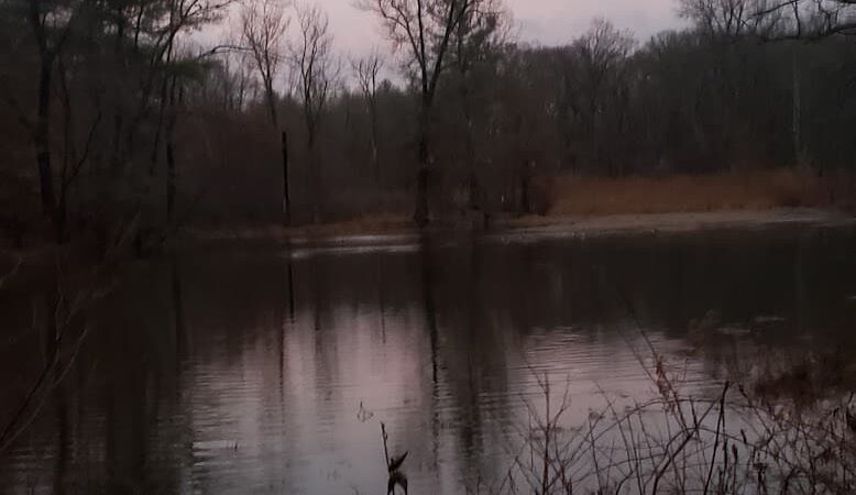 Gorman Park - East Hartford, CT