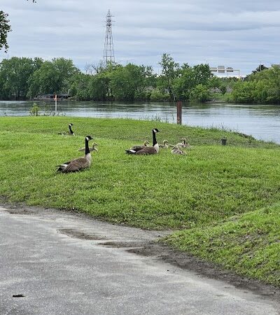 Great River Park - East Hartford, CT