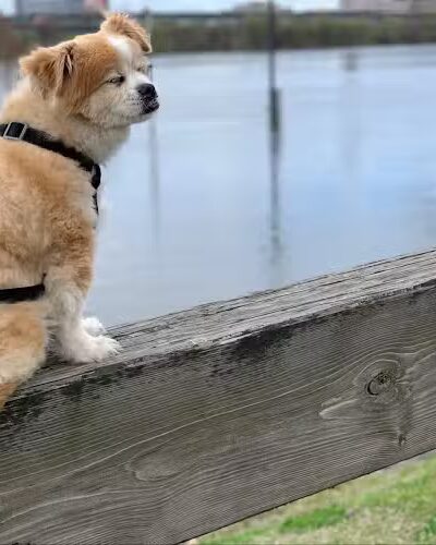 Great River Park - East Hartford, CT