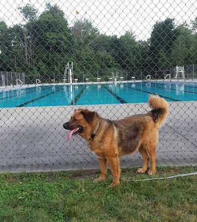 Hockanum Park - East Hartford, CT