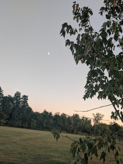 Hockanum Park - East Hartford, CT