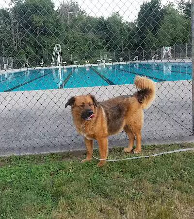 Hockanum Park - East Hartford, CT