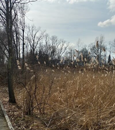 Hockanum River Linear Park - East Hartford, CT