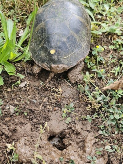 Hockanum River Linear Park - East Hartford, CT