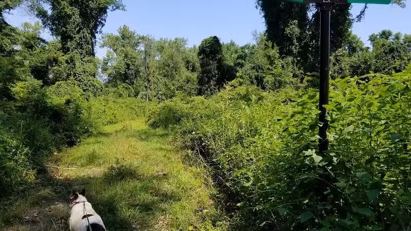 Keeny Point National Wildlife Refuge - East Hartford, CT