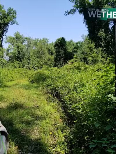Keeny Point National Wildlife Refuge - East Hartford, CT