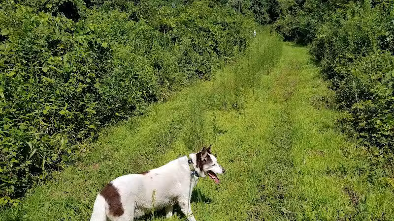 Keeny Point National Wildlife Refuge - East Hartford, CT