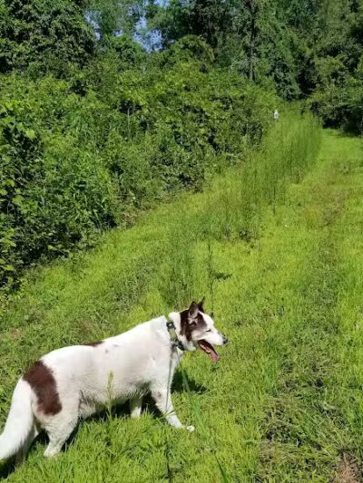 Keeny Point National Wildlife Refuge - East Hartford, CT