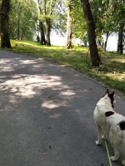 Keeny Point National Wildlife Refuge - East Hartford, CT