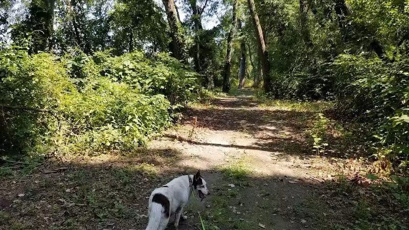 Keeny Point National Wildlife Refuge - East Hartford, CT