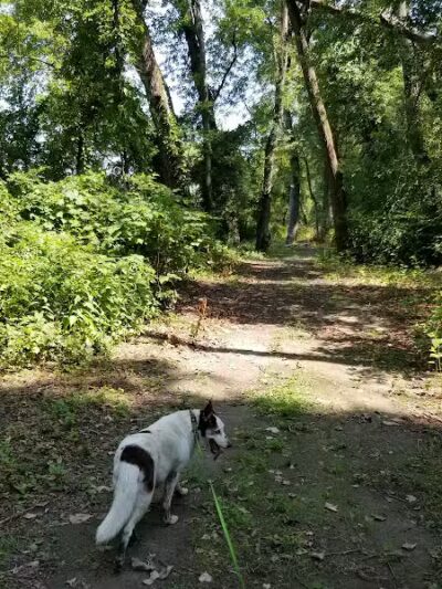 Keeny Point National Wildlife Refuge - East Hartford, CT