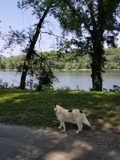 Keeny Point National Wildlife Refuge - East Hartford, CT