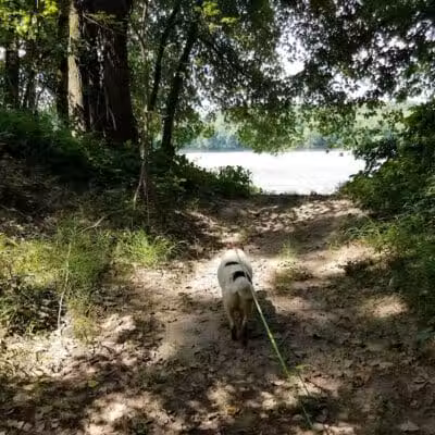 Keeny Point National Wildlife Refuge - East Hartford, CT