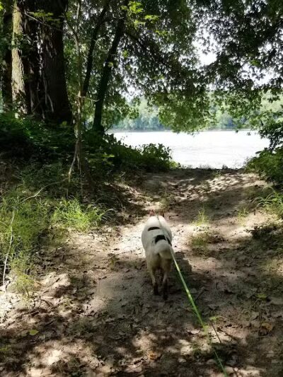 Keeny Point National Wildlife Refuge - East Hartford, CT