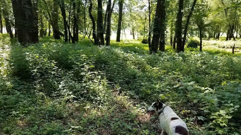 Keeny Point National Wildlife Refuge - East Hartford, CT