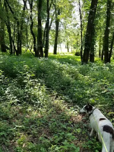 Keeny Point National Wildlife Refuge - East Hartford, CT