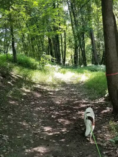 Keeny Point National Wildlife Refuge - East Hartford, CT