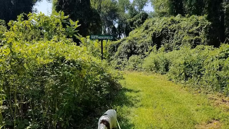 Keeny Point National Wildlife Refuge - East Hartford, CT