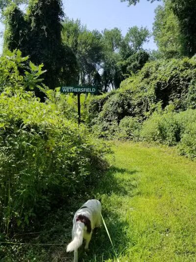 Keeny Point National Wildlife Refuge - East Hartford, CT