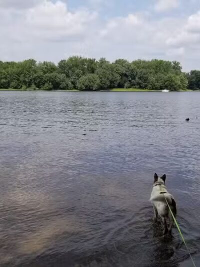 Keeny Point National Wildlife Refuge - East Hartford, CT