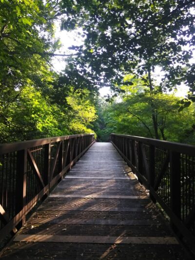 Martin Park - East Hartford, CT